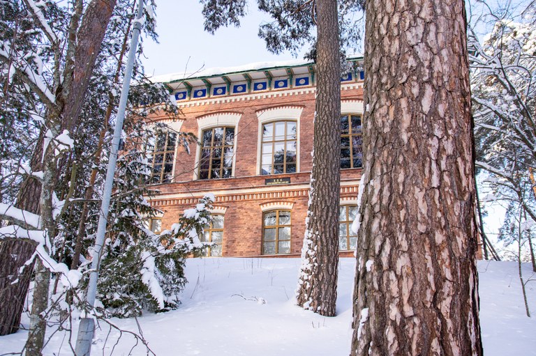 Jyväskylän yliopisto.jpg
