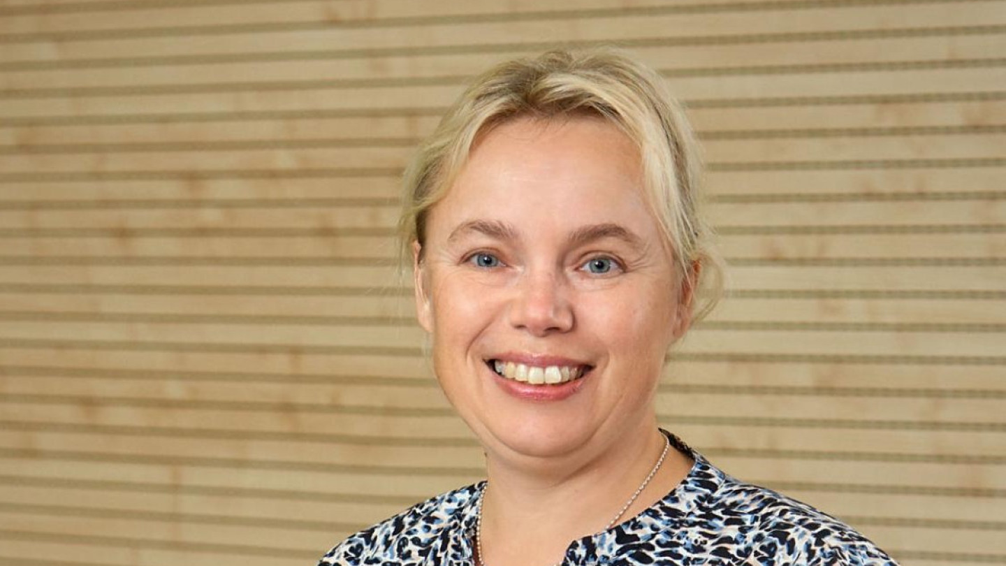 Professori Ulla Lassi