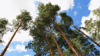 Kesällä voit opiskella avoimen yliopiston opintoja omaan tahtiisi – mutta muista myös lepo!